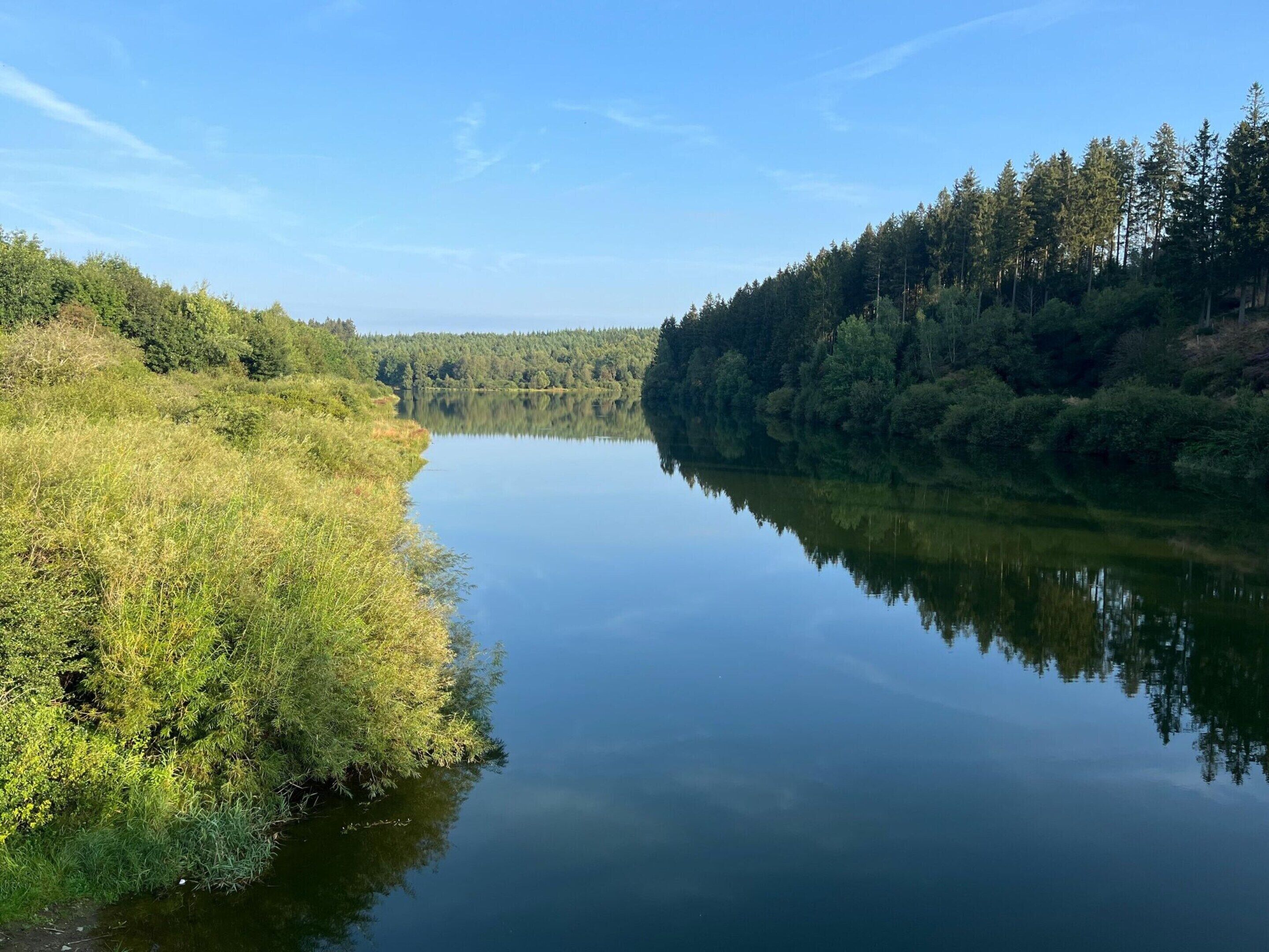 A calm river flanked by dense forests and grassy banks.