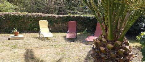 Un jardín con dos sillones de descanso y una palmera.