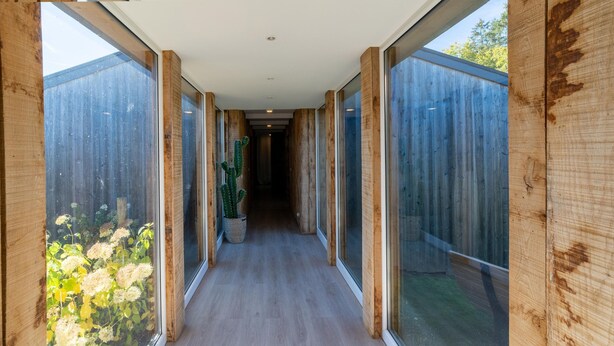 Ein Korridor mit Holzwänden und großen Fenstern, der in einen Garten mit Pflanzen und einem Kaktus führt.