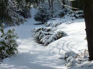 Een besneeuwde bosweg met dichte bomen en een heldere lucht.