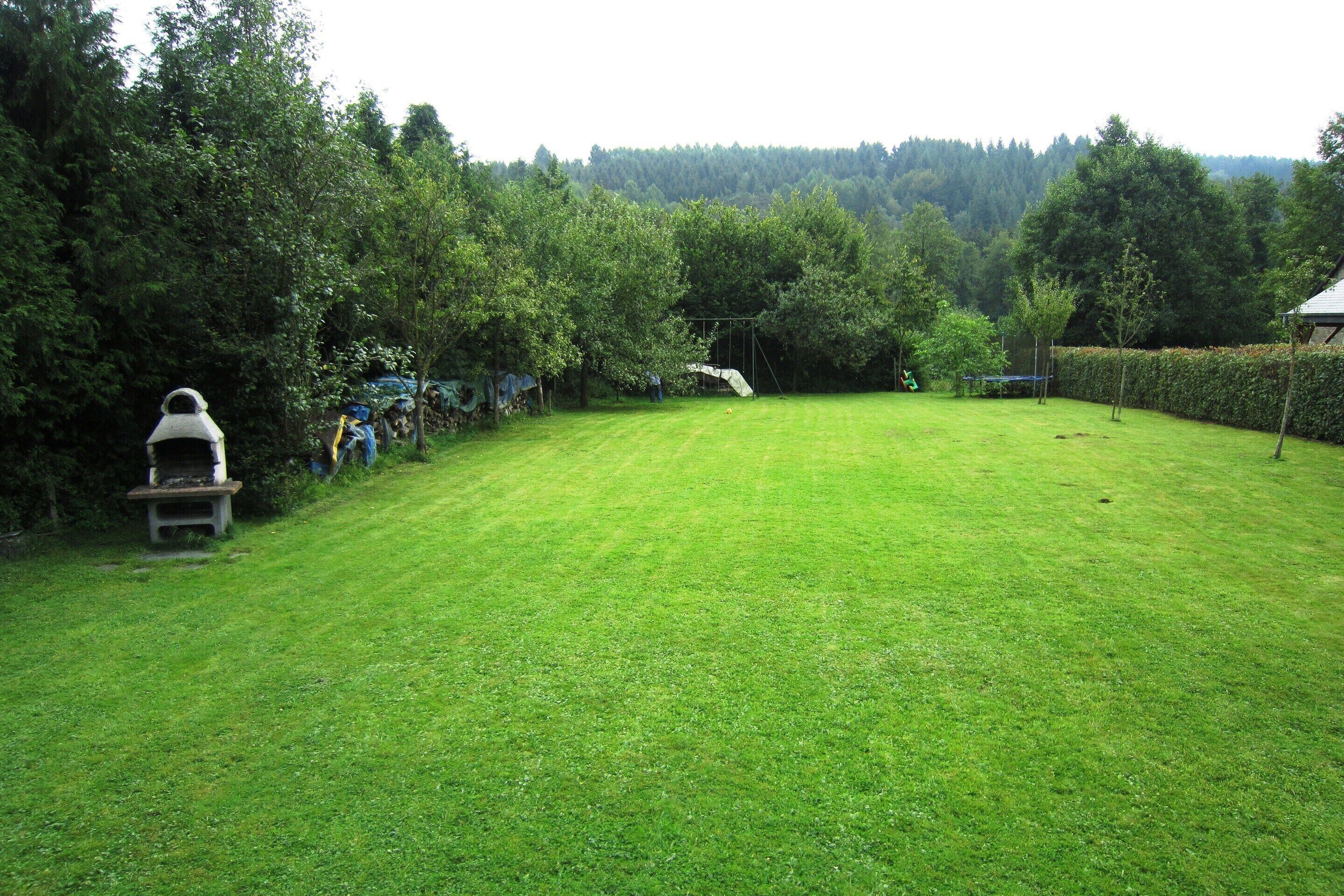 A grassy backyard with a bench, a swing set, and a hedge.
