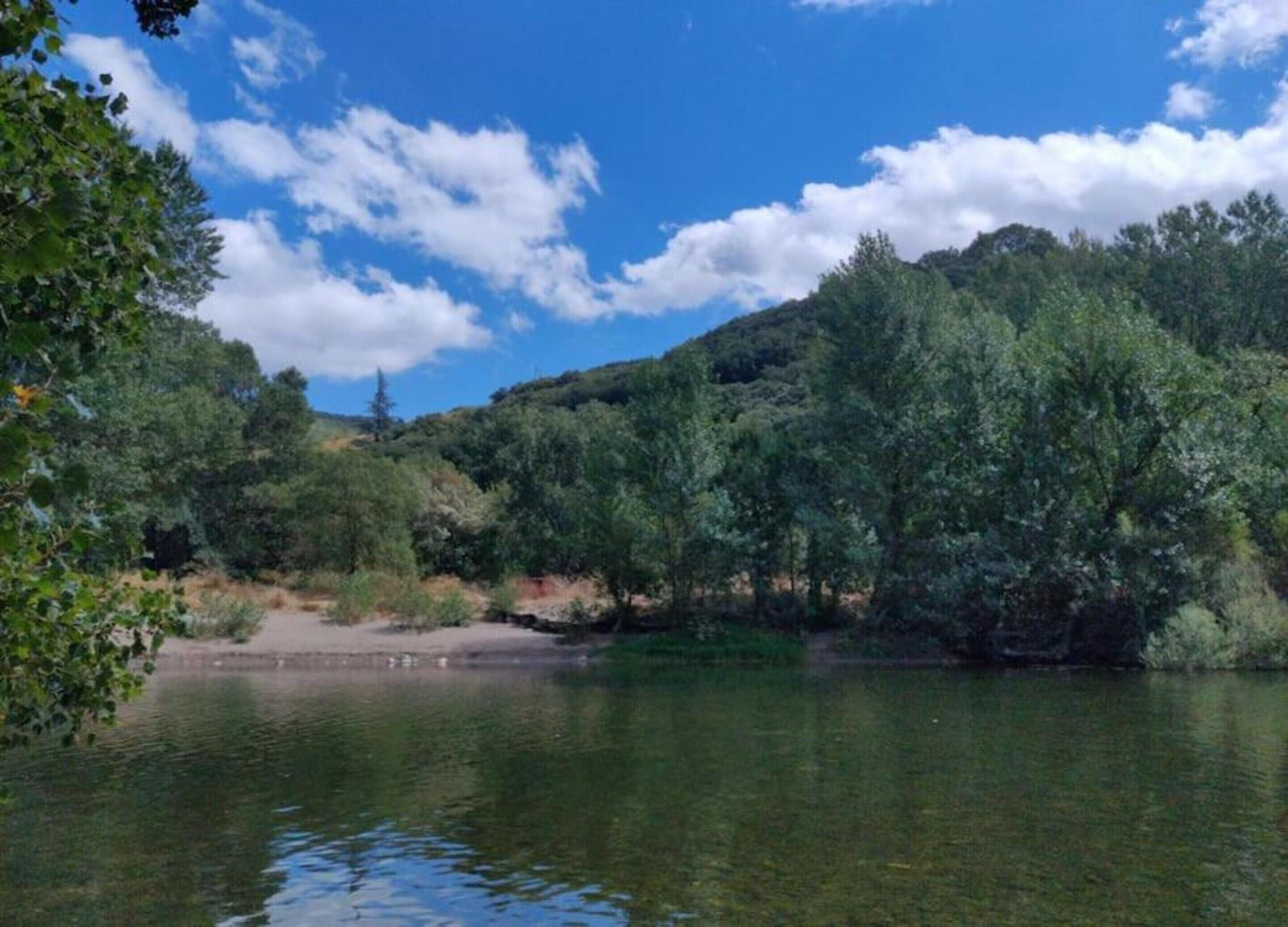 A natural landscape with a body of water, trees, and a hill in the background.