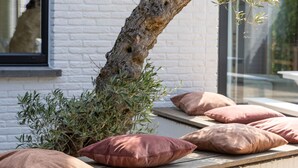 A tree with a white brick wall in the background, a window with a view, and several cushions on a bench. - Charming Villa With Indoor Swimming Pool, Near the Beach and Town Centre (Koksijde)