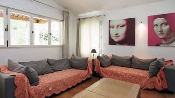 Fireplace, DVD player