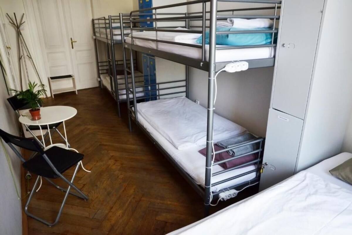 A dormitory room with bunk beds, a small table with chairs, and a potted plant.