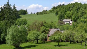 Un paisaje rural con una casa rodeada de árboles y un campo cubierto de hierba.