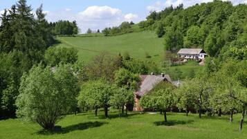 Maison | Vue depuis lâhĂ©bergement