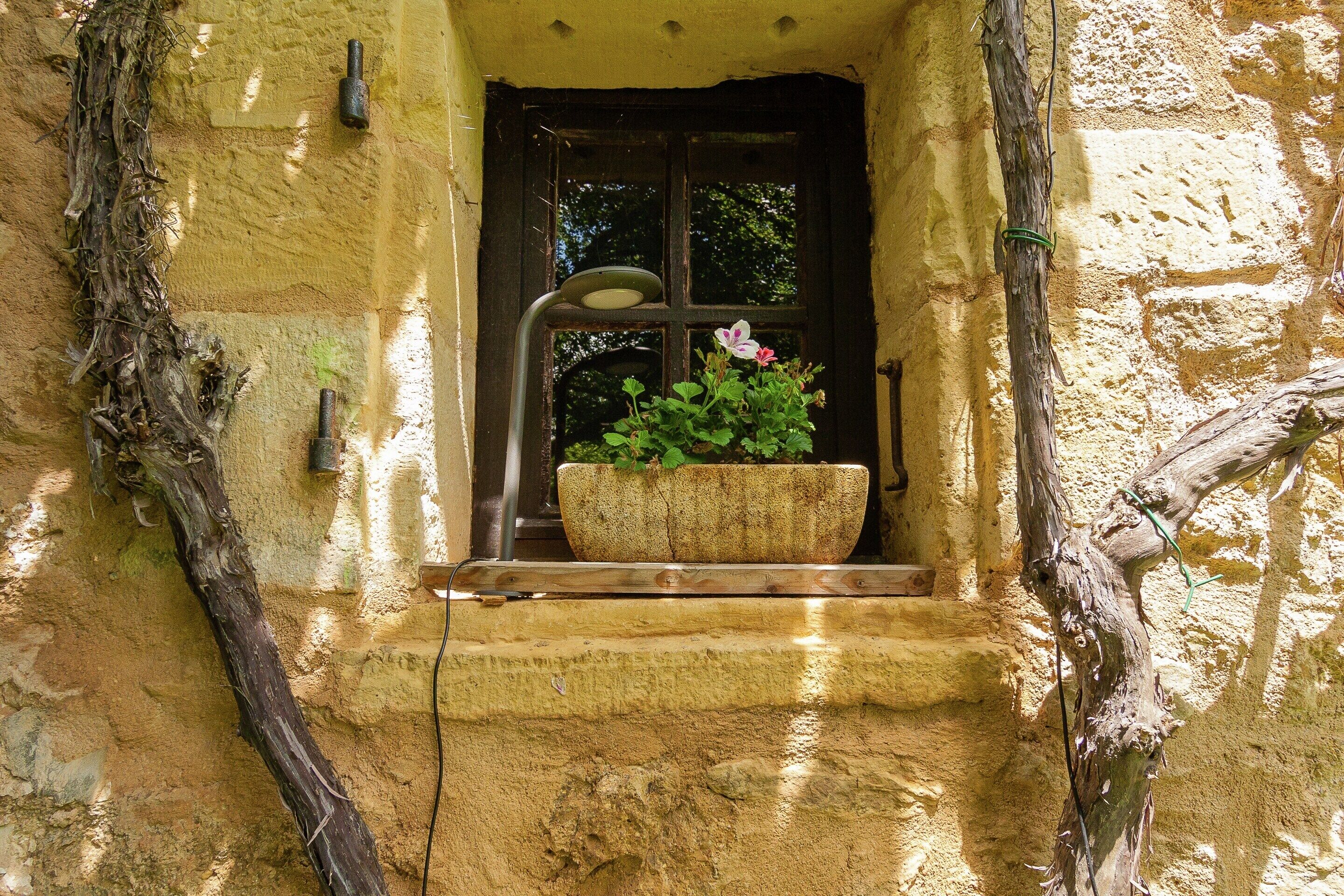 House | Interior detail