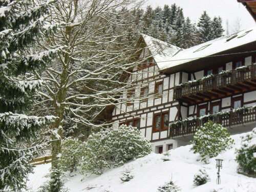 Charming Apartment With Balcony, Garden, BBQ, Parking, Heating