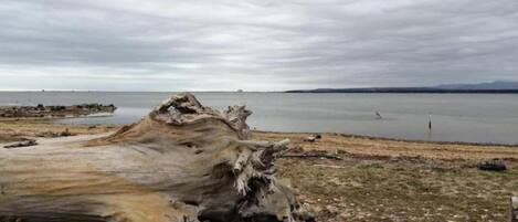 A large driftwood piece on a beach with a calm sea and overcast sky.