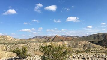 A rocky desert landscape with sparse vegetation and distant mountains under a clear sky.