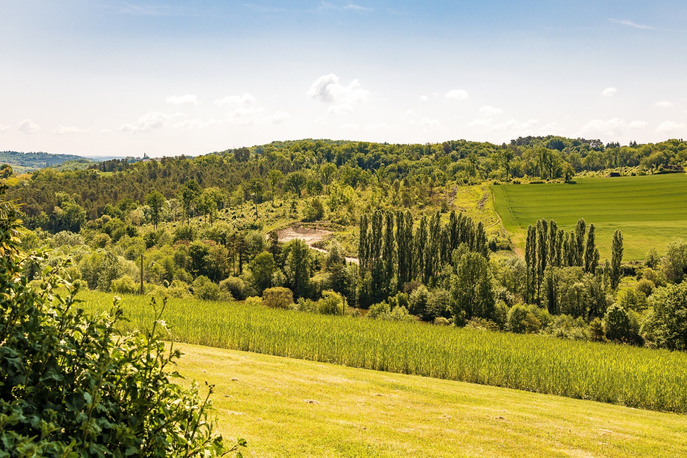 Üppige grüne Landschaft mit sanften Hügeln, dichten Wäldern und blauem Himmel.