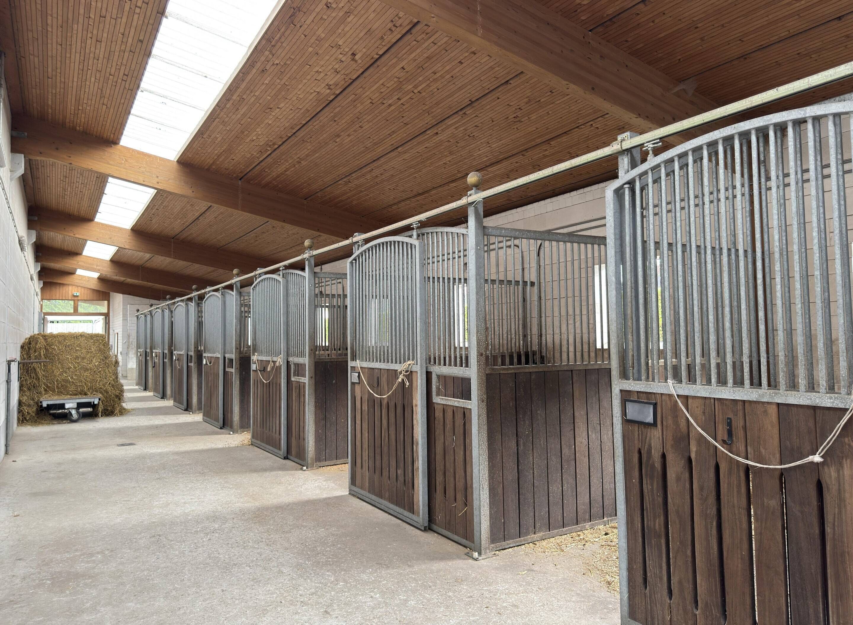 A stable with multiple stalls, each with a metal gate and wooden panels.