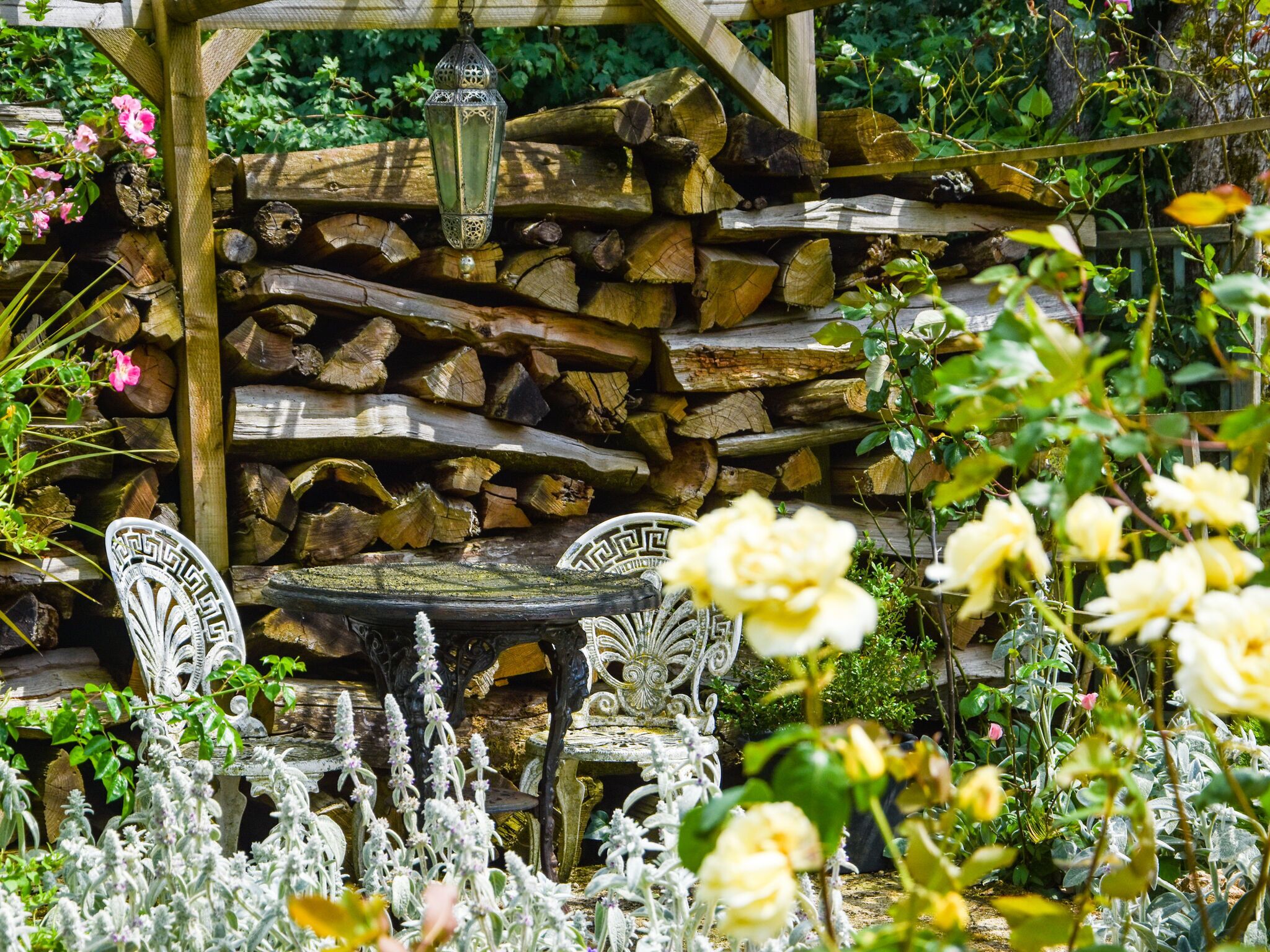 Khuôn viên nơi lưu trú