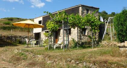 Cozy Holiday Home in Accons With Meadow Near