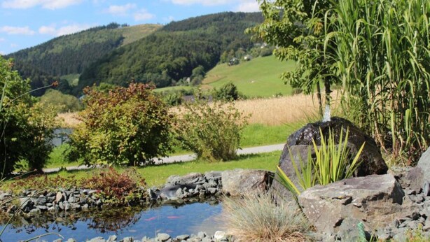 A serene landscape with a pond, rocks, and vegetation. - Spacious Apartment in Rattlar near Forest (Willingen)