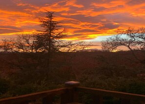 Casa | Vista desde la propiedad