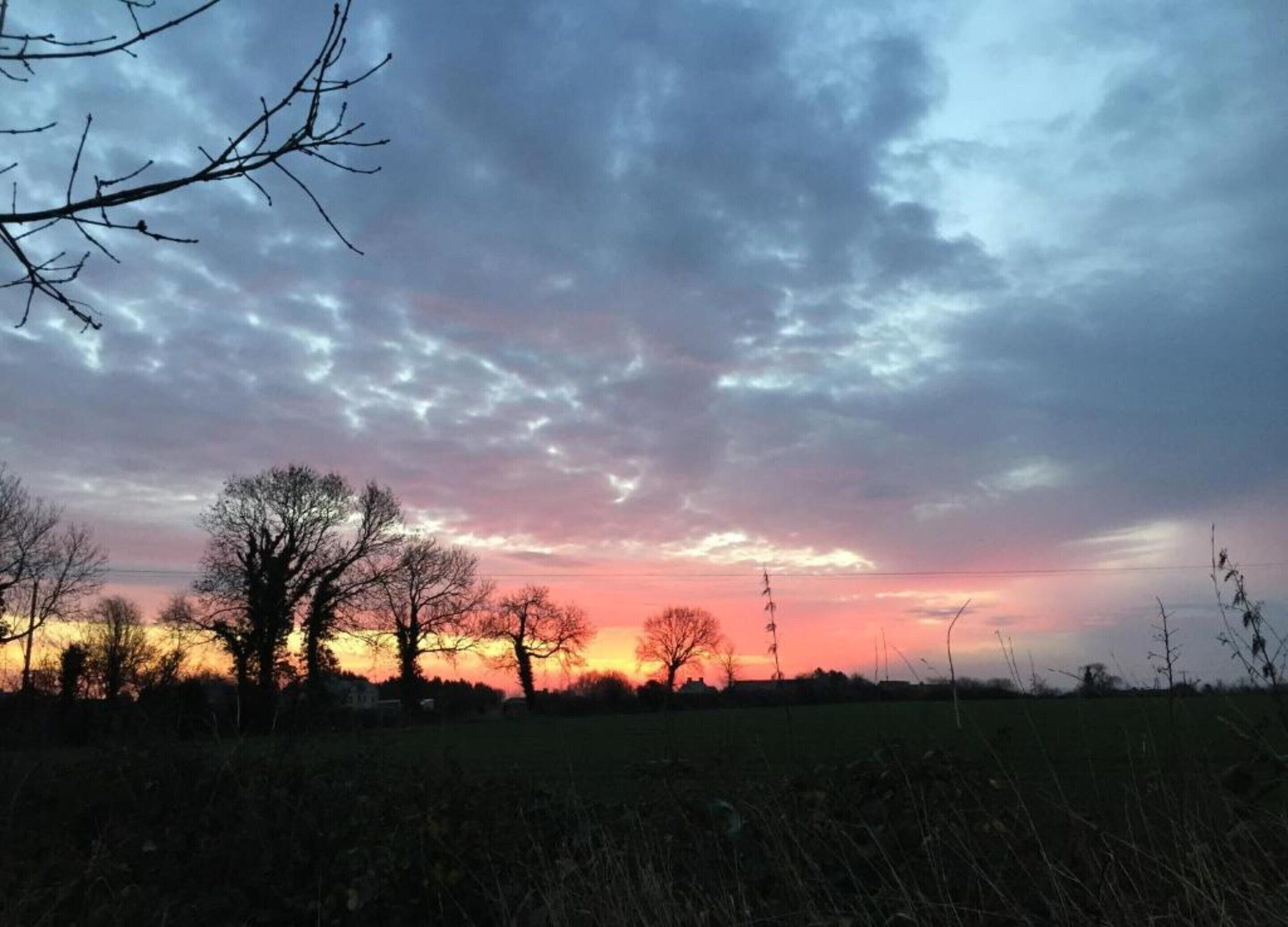 A rural landscape with trees and a field during sunset.