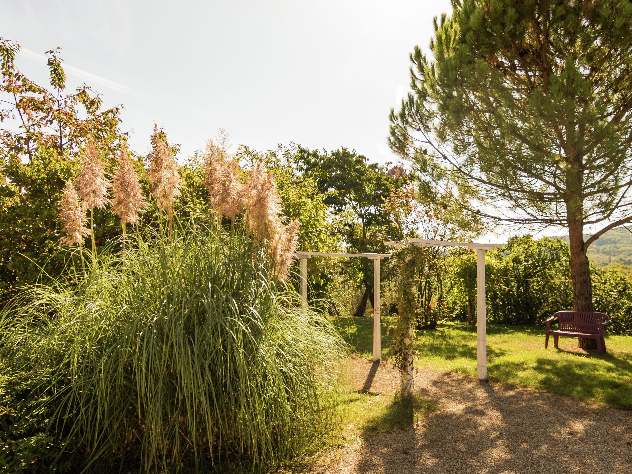 Jardin