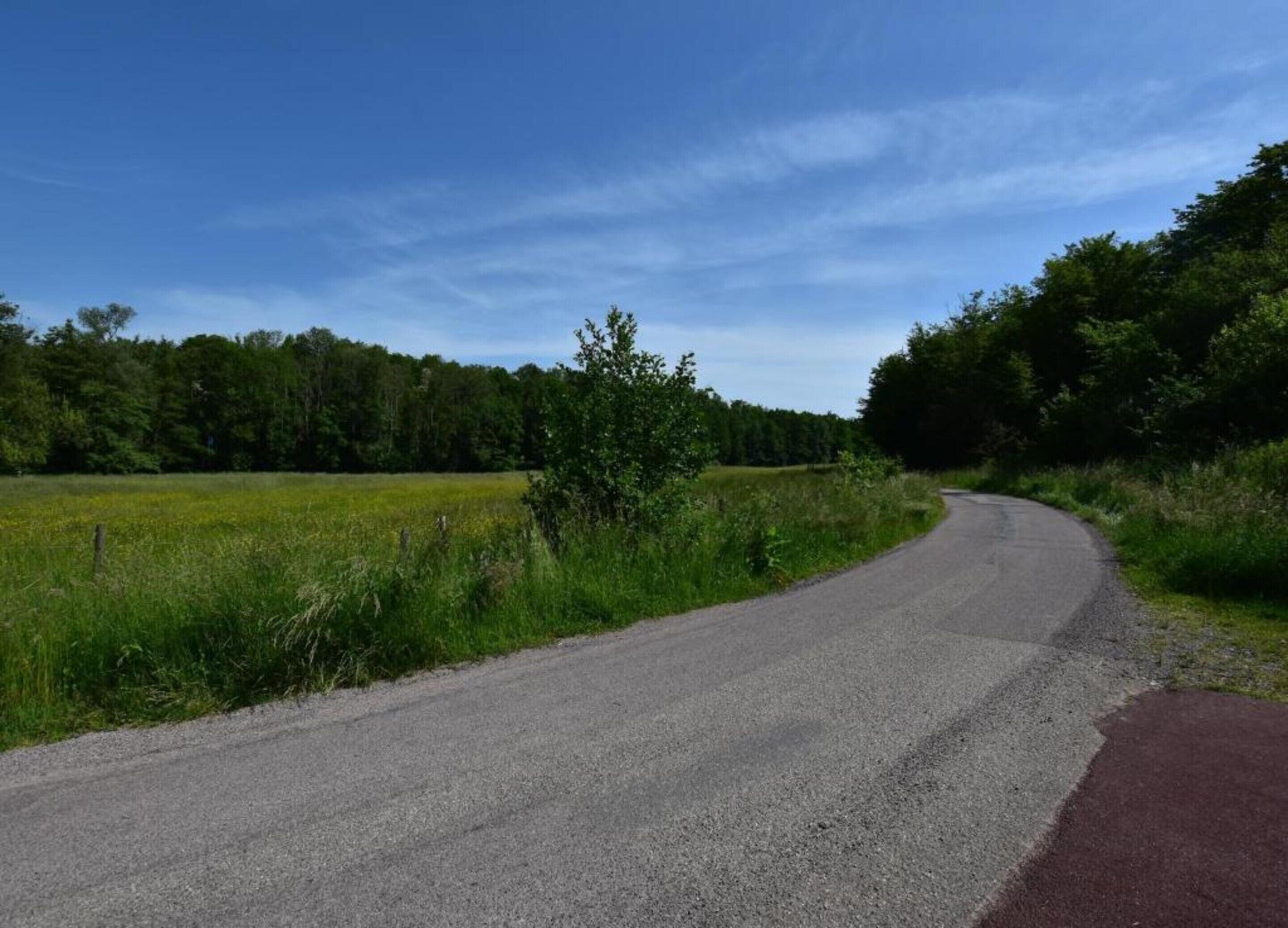 A rural road curving through a field with a clear sky.