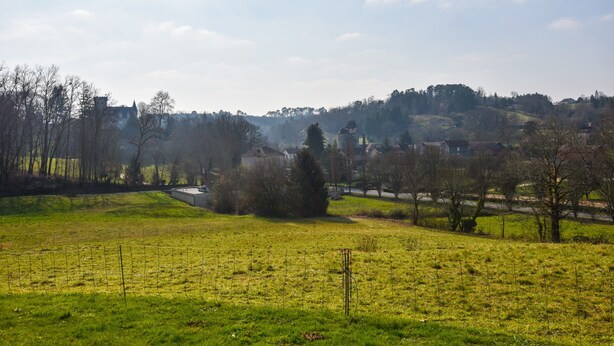 Paesaggio rurale con un prato erboso, una recinzione e alcuni alberi.