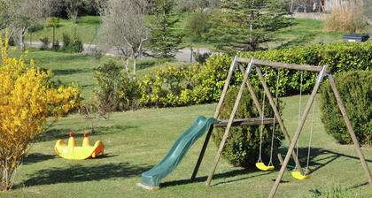 Luxury Villa With Private Pool