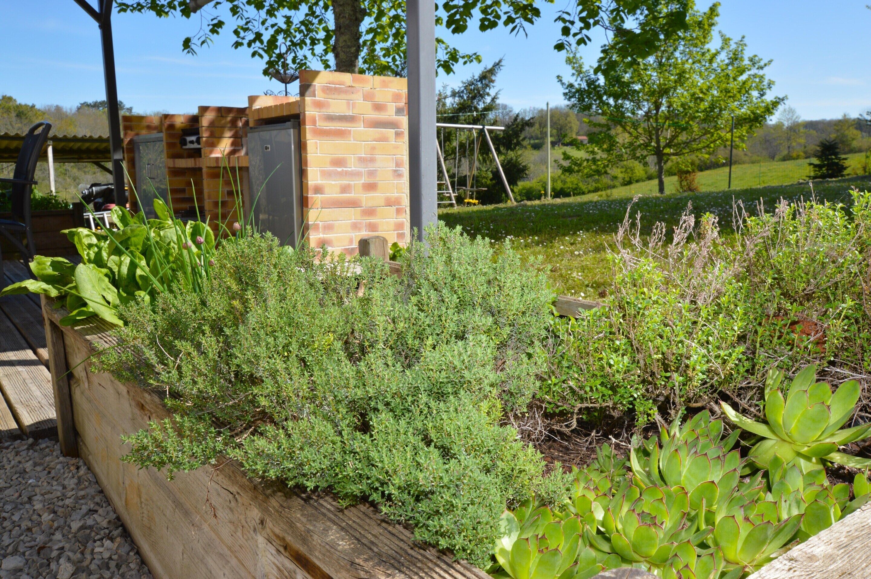 Un jardín con diversas plantas y una estructura de ladrillo.