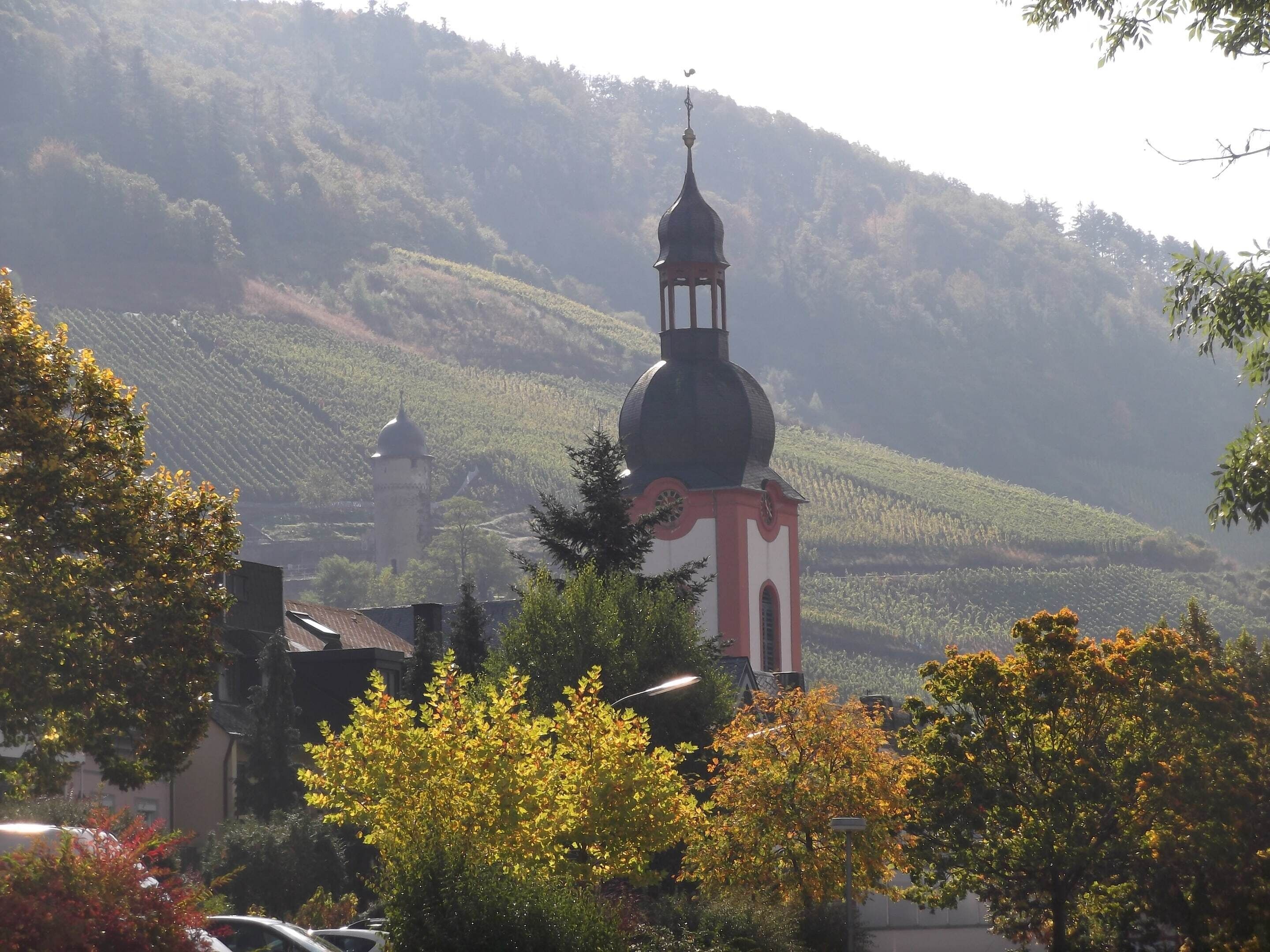 A church with a prominent dome and bell tower, surrounded by lush greenery and vineyards.