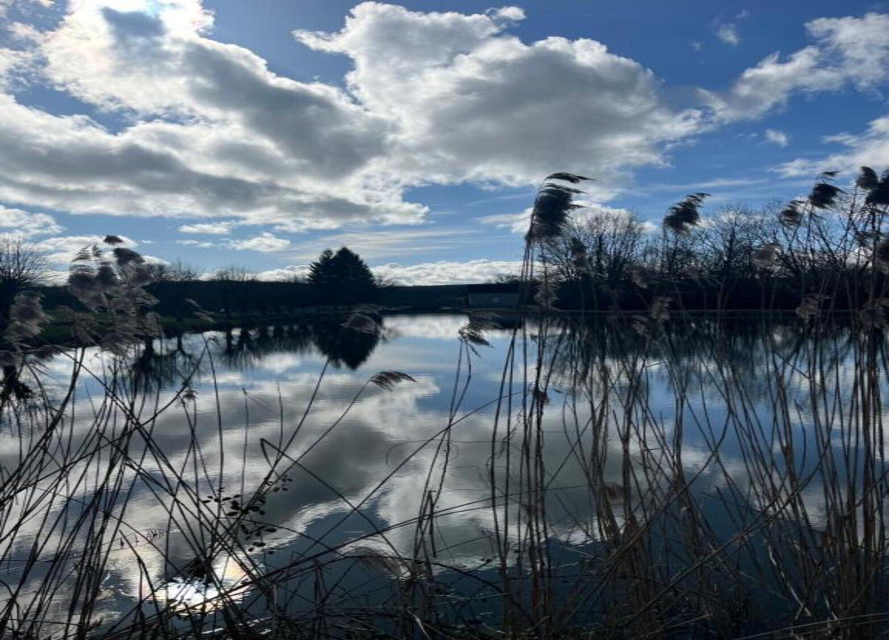 Ein ruhiger See mit Spiegelungen von Bäumen und Himmel.