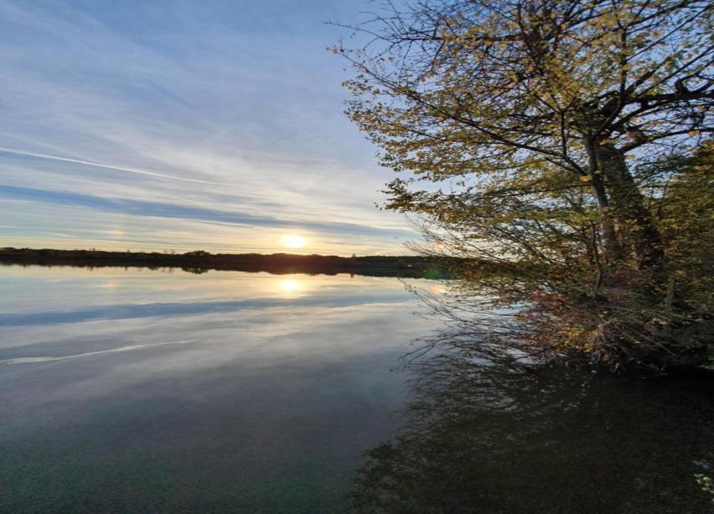 Un lago tranquilo con un reflejo claro del cielo y un árbol a la derecha.