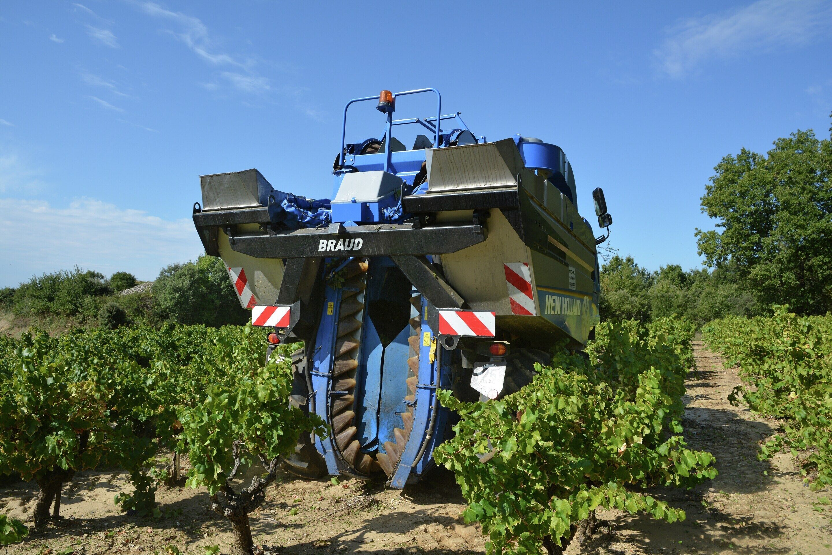 Viñedo con hileras de vides y un vehículo agrícola azul grande, con la etiqueta 'BRAUD' en el centro.