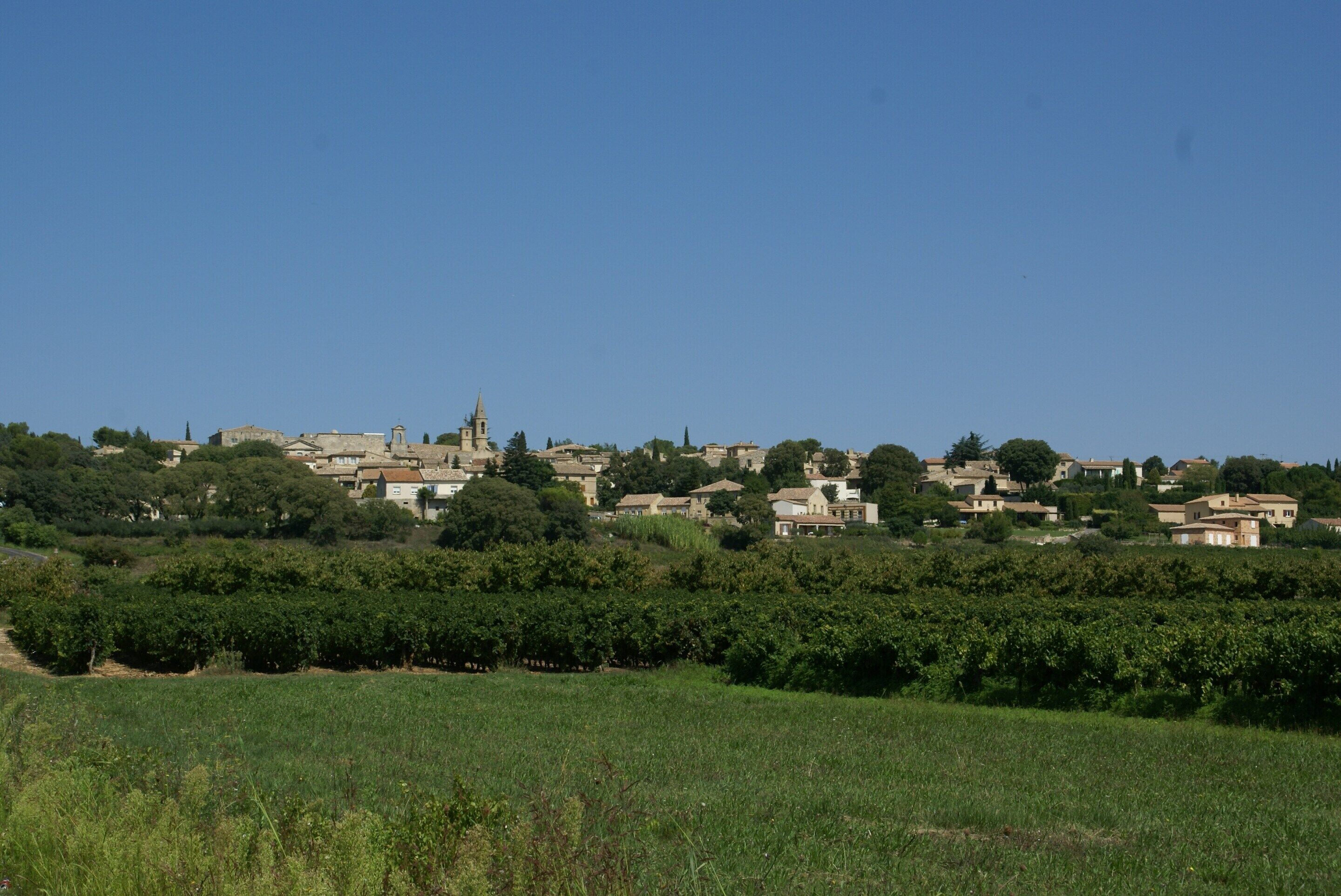 Ein ländliches Dorf mit Häusern, einer Kirche und Weinbergen.