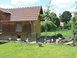 Garden - Apartment in Bavaria Near Forest Trails (Eslarn)