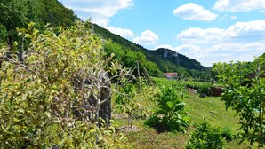 Ländliche Landschaft mit einem Haus, einem umzäunten Garten und einem Berg im Hintergrund.