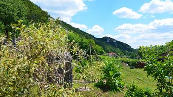 公寓 | 住宿景觀