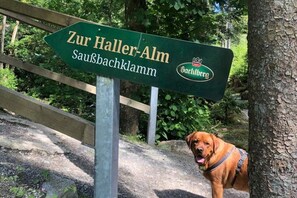Ferienhaus | Außenbereich