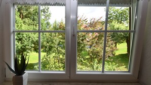Ett fönster med ett vitt fönsterkarm och en spetsgardin, med utsikt över en trädgård med träd och en gräsmatta.