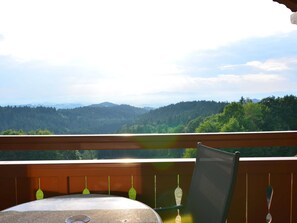 Vista desde la propiedad