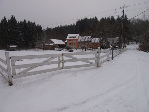 Garden - Forest Retreat in Vosges (Hanviller)