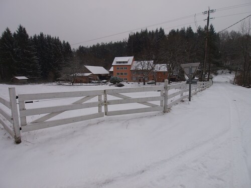 Forest Retreat in Vosges