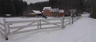 Forest Retreat in Vosges