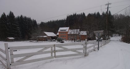 Forest Retreat in Vosges