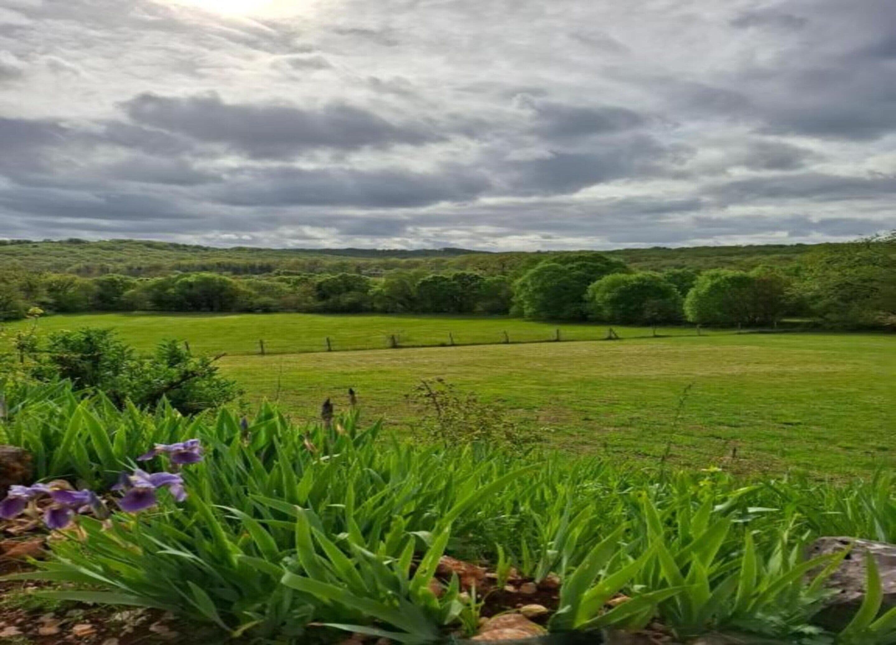 House | View from property