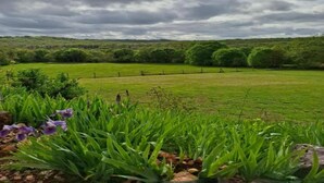 Un paysage rural avec un champ, des arbres et un ciel nuageux.