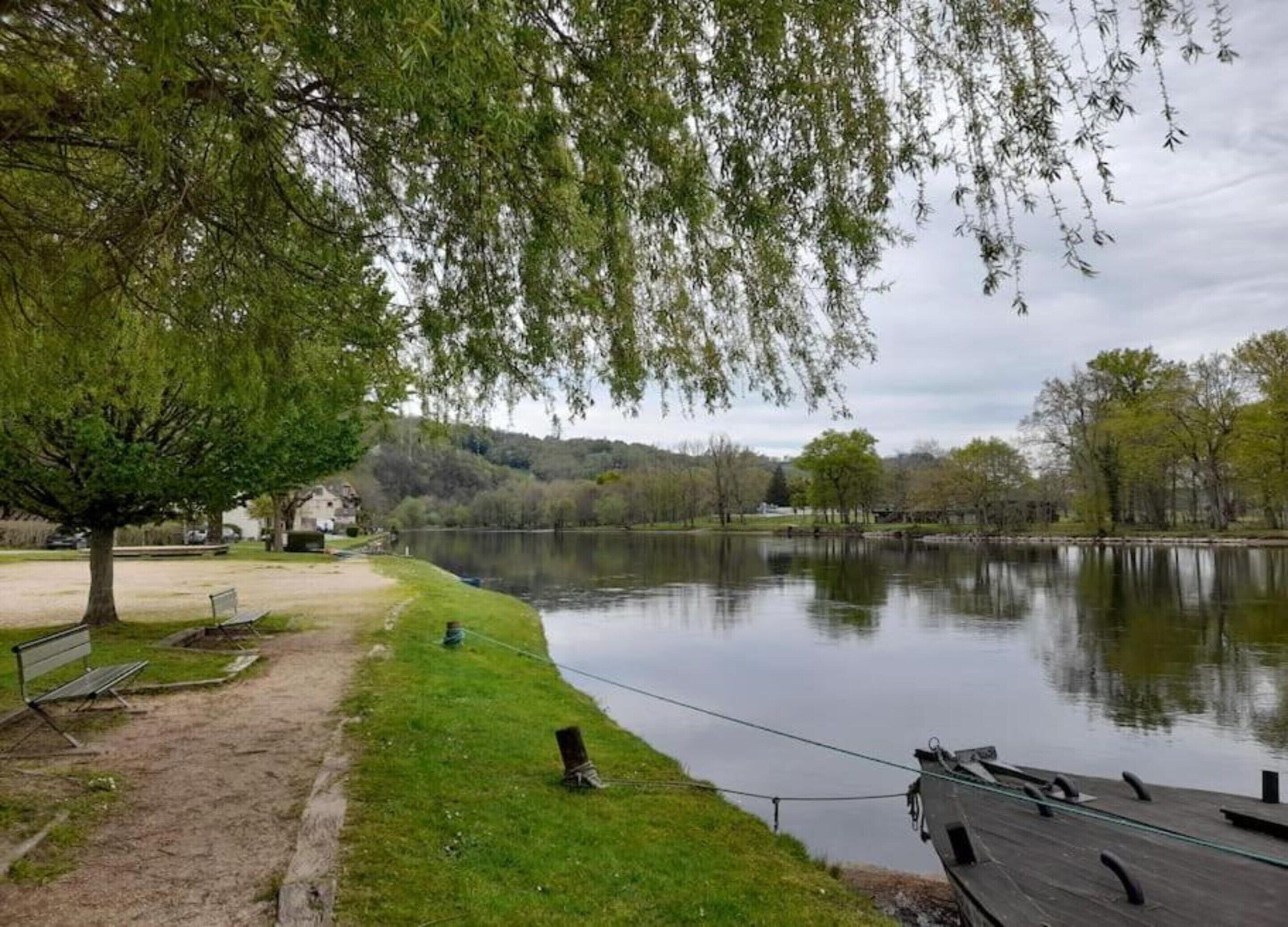 A lakeside park with a bench, a dock, and a tree.