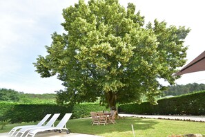 A tree-lined outdoor seating area with a table and chairs. - Timeless Charm in Perigord (Saint-Leon-sur-Vezere)