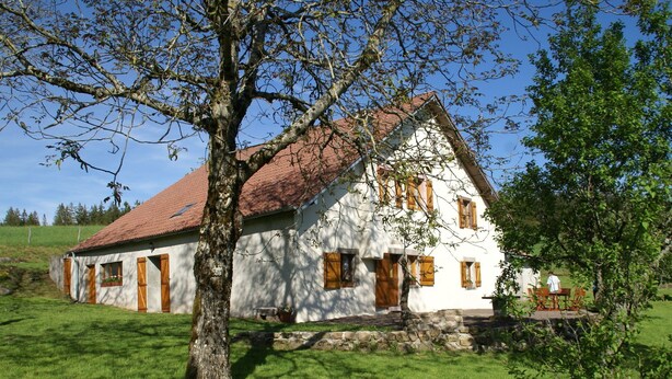 Eksteriør
