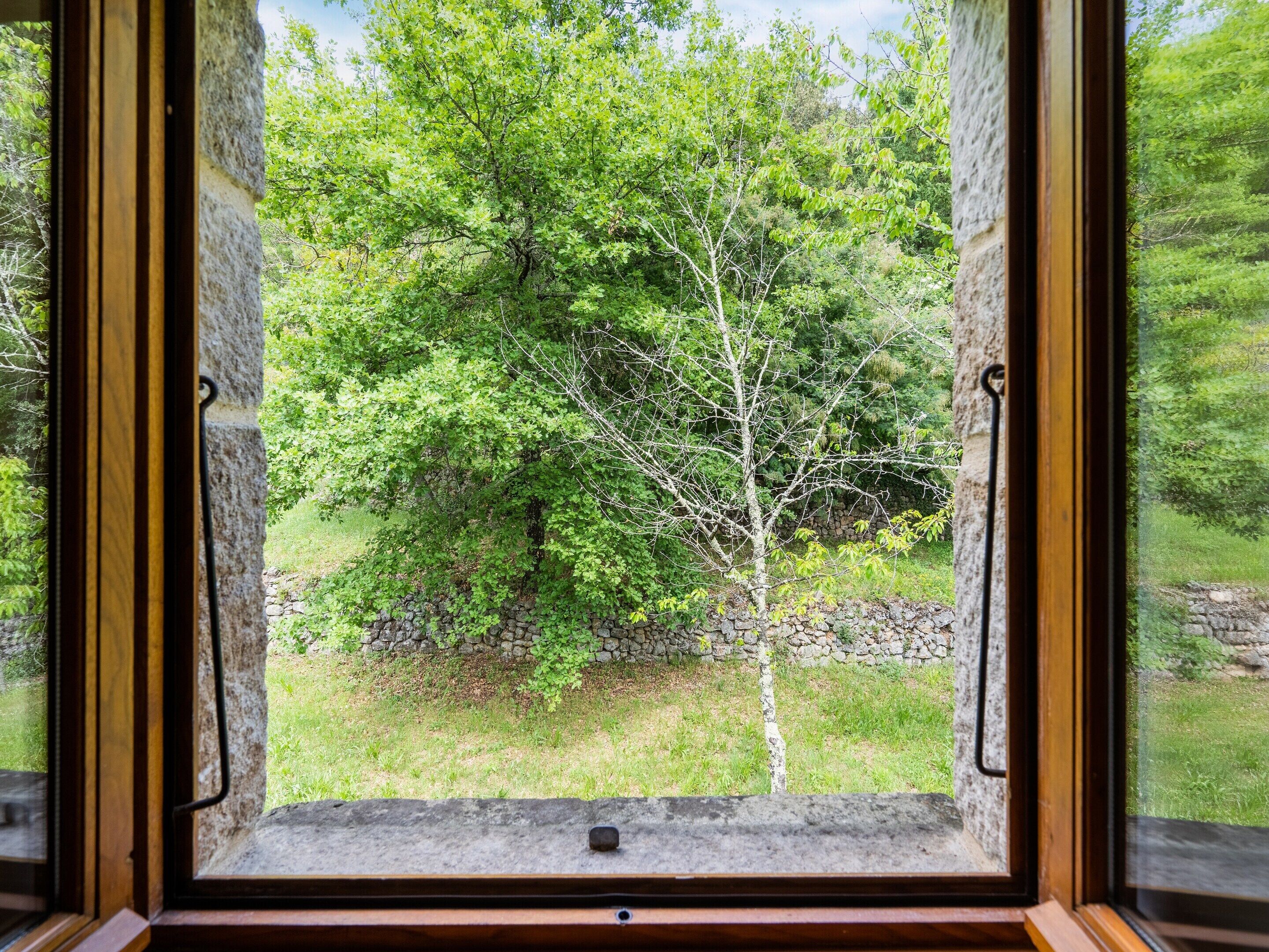 House | View from property