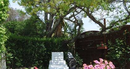 Villa in Bagnols With Pool & Near Nature Parks