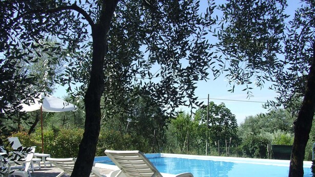 Un área junto a la piscina con sillones blancos y una pileta, rodeada de árboles y vegetación.
